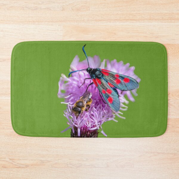 Item preview, Burnet Moth and a Bee on a Knapweed flower designed and sold by Dalyndigital Photography.