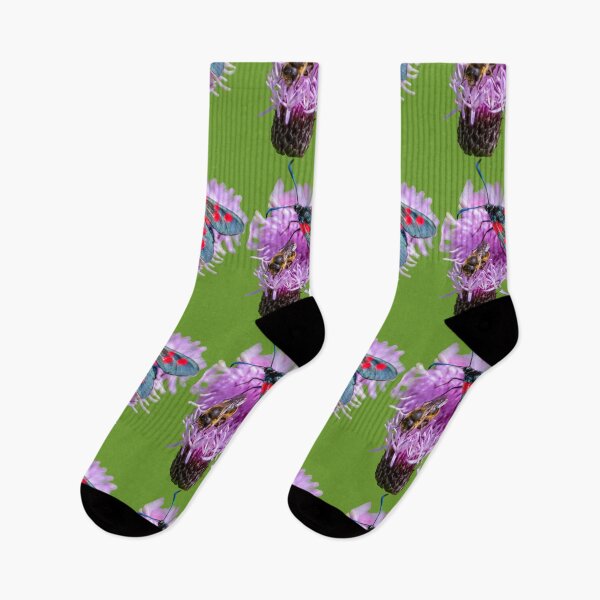 Item preview, Burnet Moth and a Bee on a Knapweed flower designed and sold by Dalyndigital Photography.