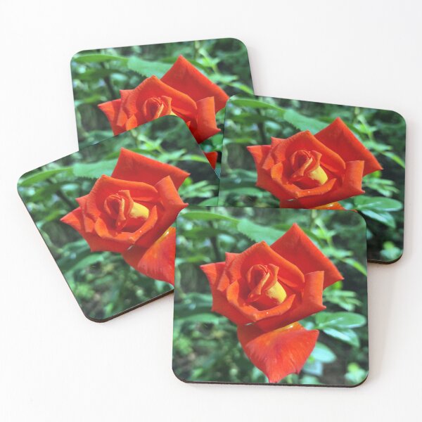 Item preview, Red rose in the garden designed and sold by Gourmetkater.
