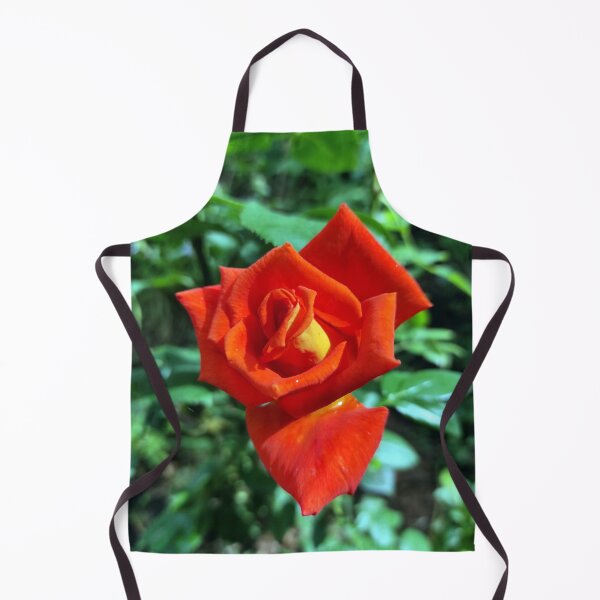 Item preview, Red rose in the garden designed and sold by Gourmetkater.