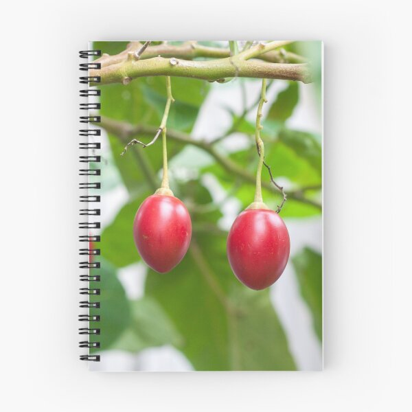 Item preview, Tamarillos designed and sold by Amy Akers.