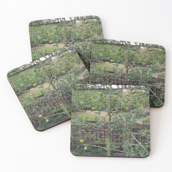 Item preview, Espalier fruit in the monastery garden designed and sold by Gourmetkater.