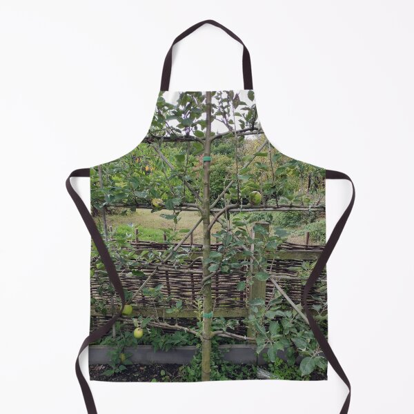 Item preview, Espalier fruit in the monastery garden designed and sold by Gourmetkater.