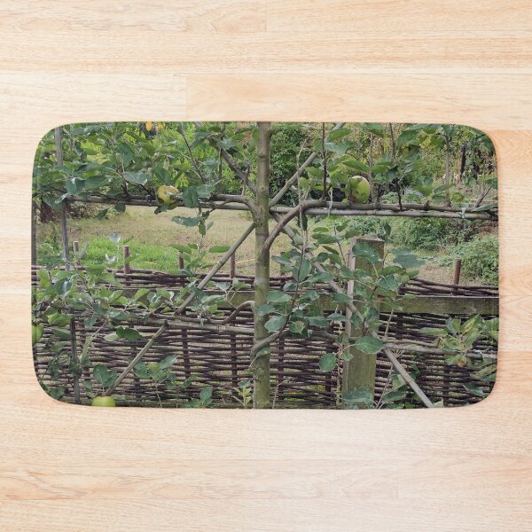 Item preview, Espalier fruit in the monastery garden designed and sold by Gourmetkater.