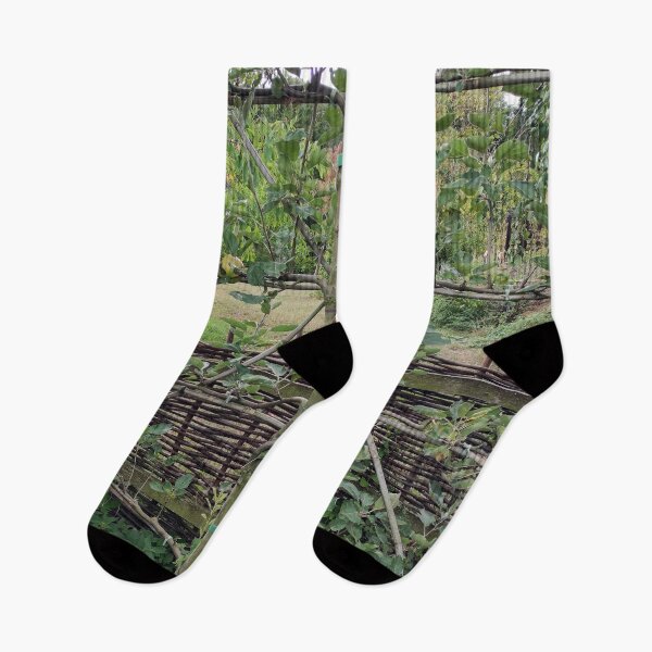 Item preview, Espalier fruit in the monastery garden designed and sold by Gourmetkater.