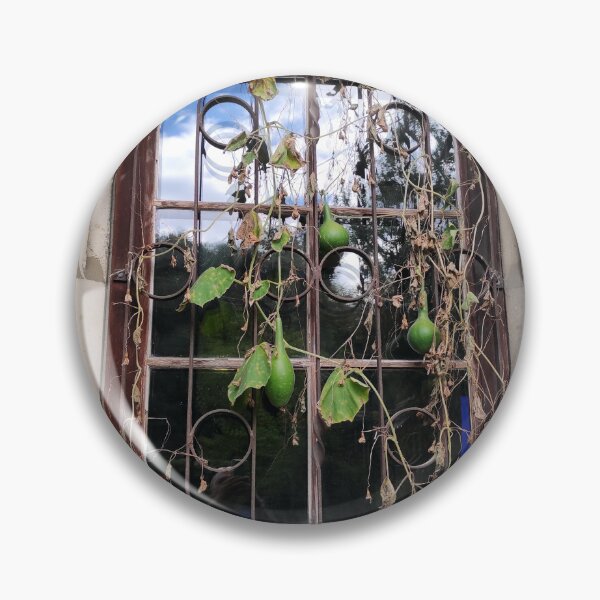 Item preview, A pumpkin is hanging in the window designed and sold by Gourmetkater.