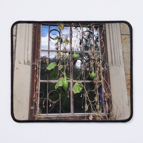 Item preview, A pumpkin is hanging in the window designed and sold by Gourmetkater.