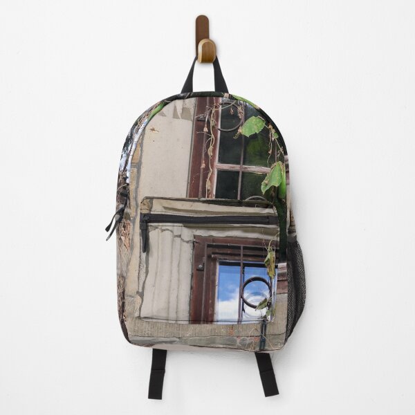 Item preview, A pumpkin is hanging in the window designed and sold by Gourmetkater.