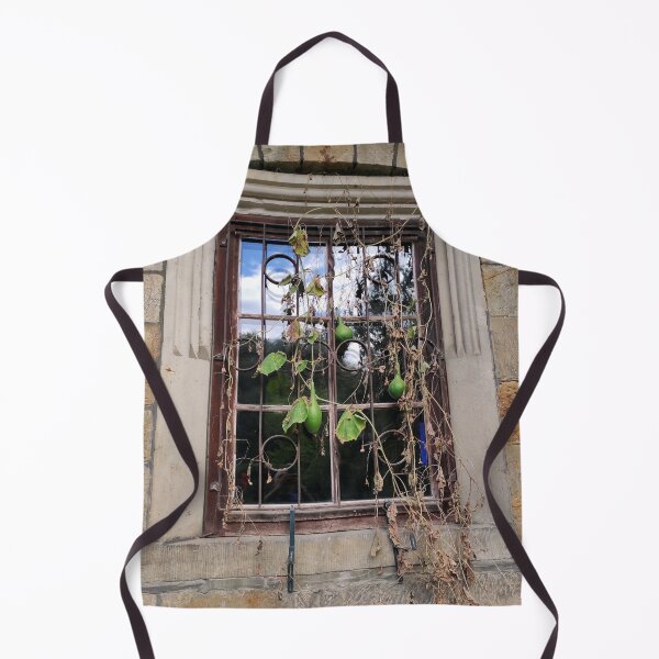 Item preview, A pumpkin is hanging in the window designed and sold by Gourmetkater.