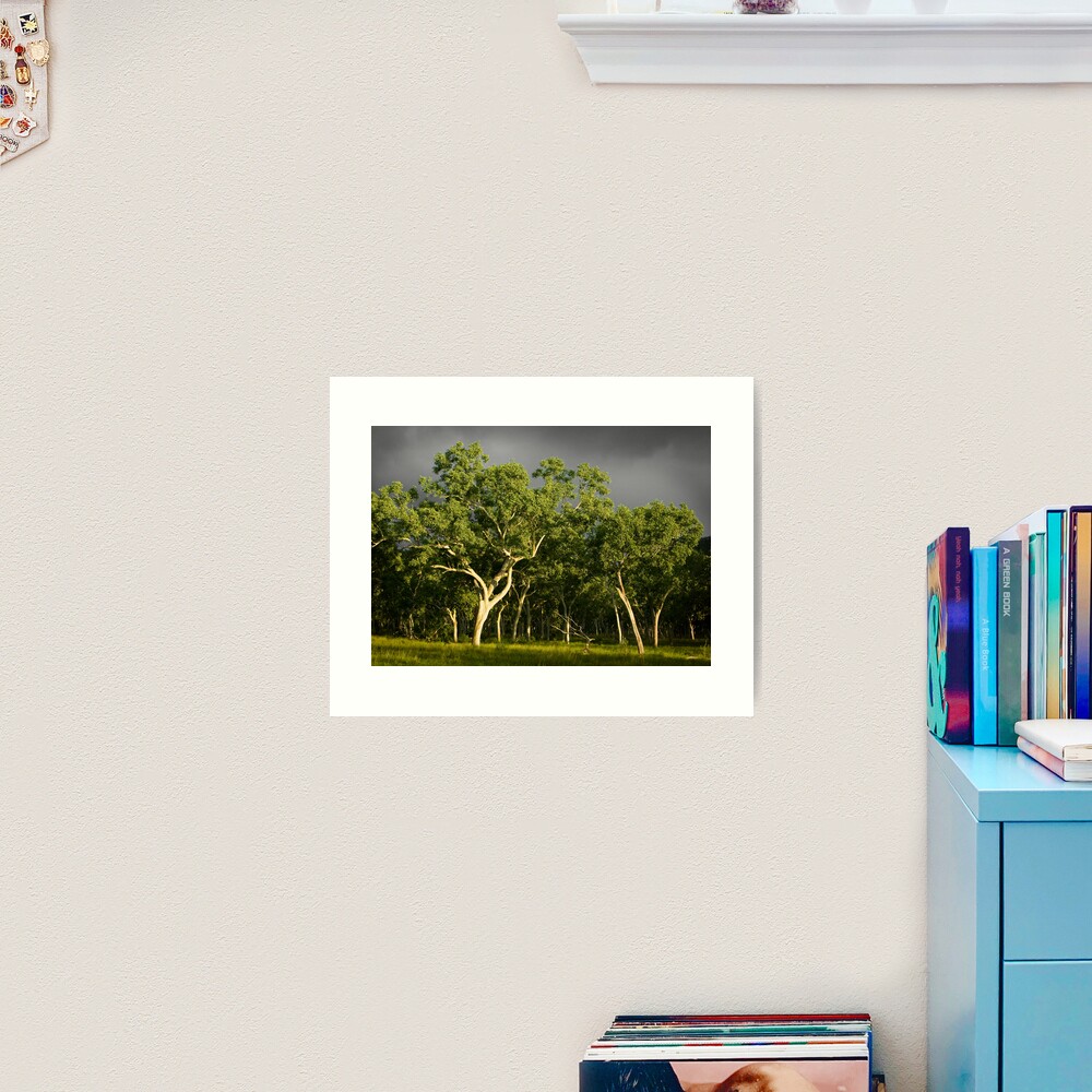 Ghost Gums Art Print