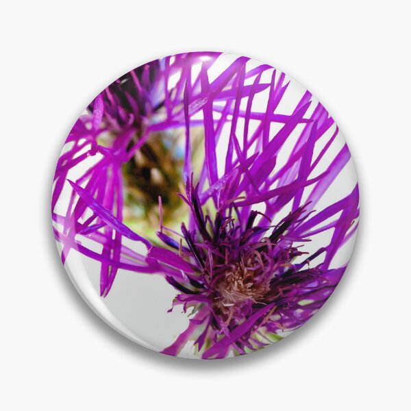 Item preview, Purple Knapweed flower designed and sold by Dalyndigital Photography.