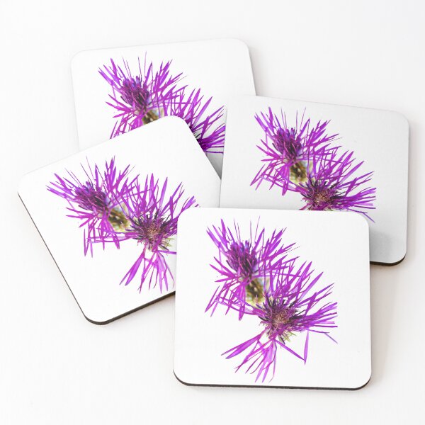 Item preview, Purple Knapweed flower designed and sold by Dalyndigital Photography.