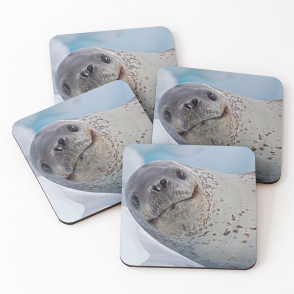 Item preview, Smile!  You've just seen lunch! (Leopard Seal, Pleneau Island, Antarctica) designed and sold by Krys Bailey.