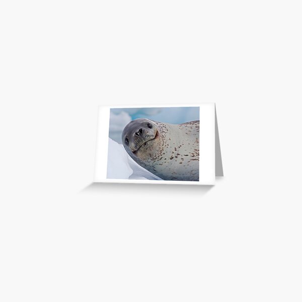 Item preview, Smile!  You've just seen lunch! (Leopard Seal, Pleneau Island, Antarctica) designed and sold by Krys Bailey.