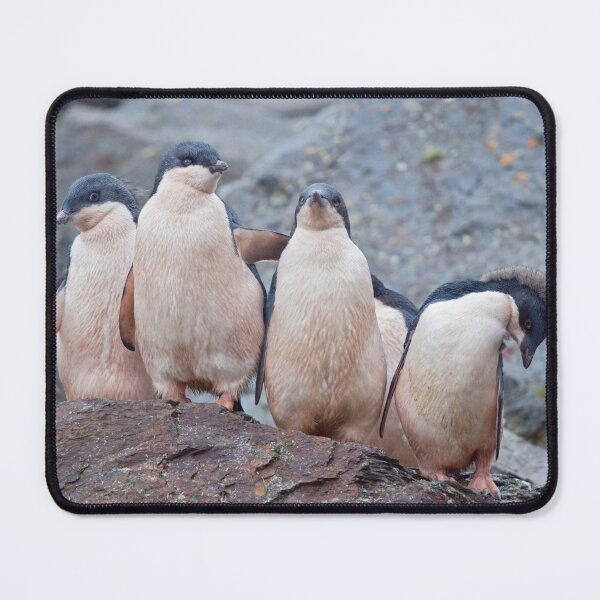 Item preview, Pink Pingos (Adelie Penguin Chicks, South Orkneys) designed and sold by Krys Bailey.