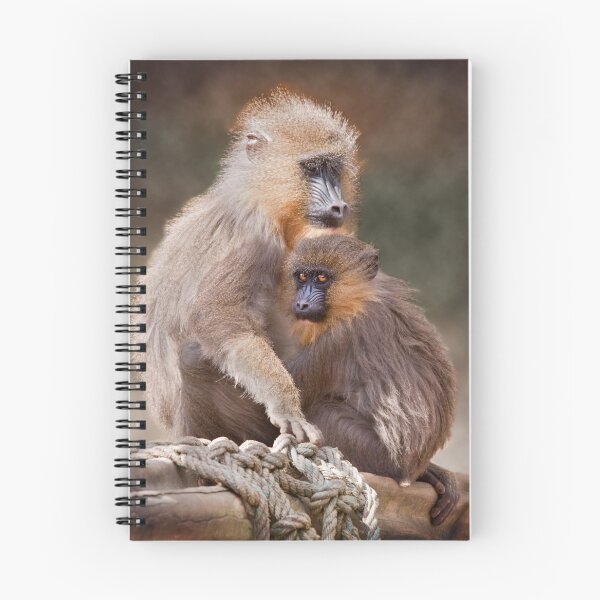Item preview, Safe Haven designed and sold by Krys Bailey.