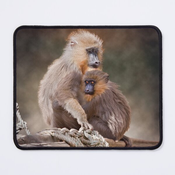 Item preview, Safe Haven designed and sold by Krys Bailey.