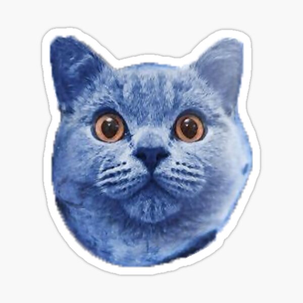 Artikel-Vorschau von Blaubeerkatze, designt und verkauft von shlaboza.