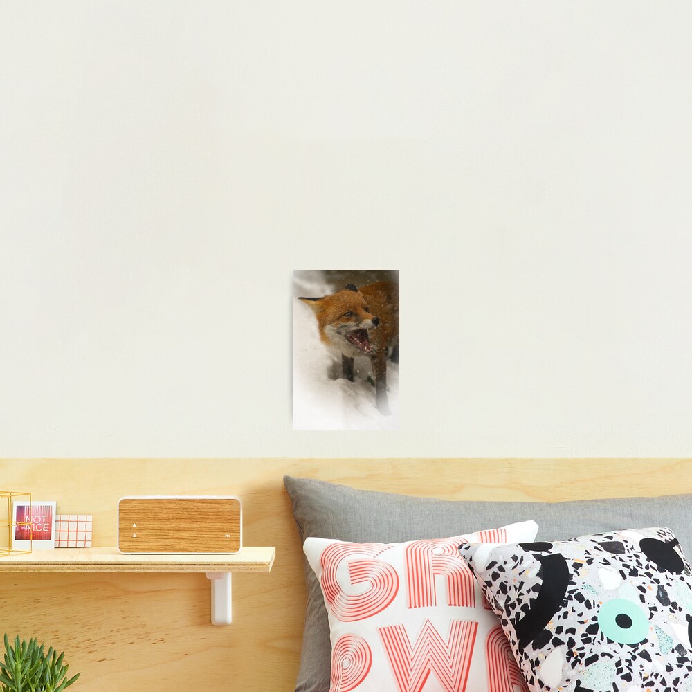 Item preview, Photographic Print designed and sold by rawshutterbug.