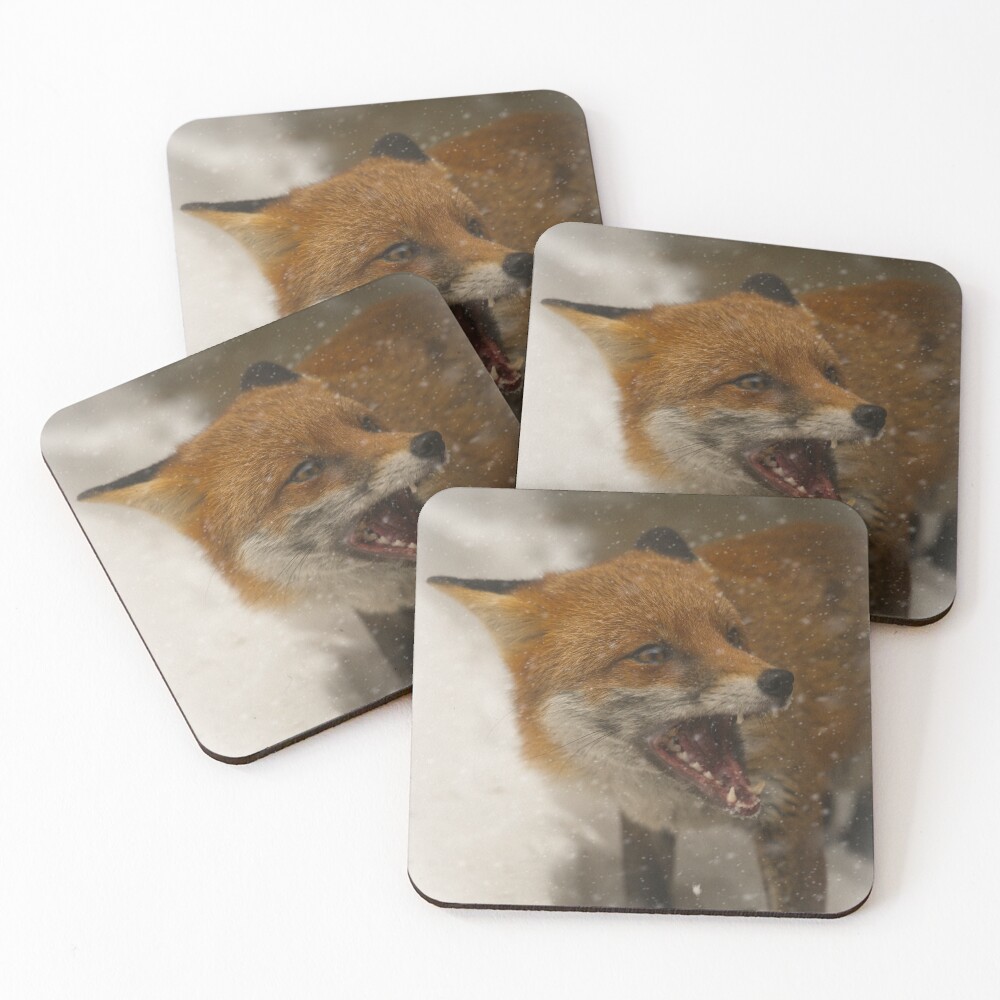 Item preview, Coasters (Set of 4) designed and sold by rawshutterbug.