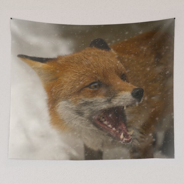 Item preview, Wild Red Fox In The Snow designed and sold by rawshutterbug.