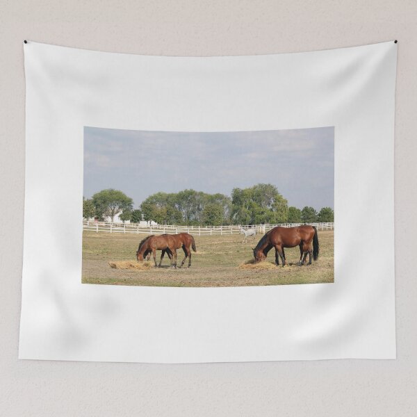 Item preview, foals and horses eat hay in corral ranch scene designed and sold by goceris.