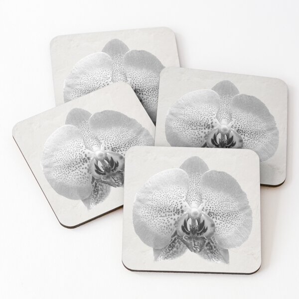 Item preview, A white orchid petal designed and sold by Postertale.