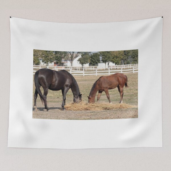 Item preview, black horse and foal eat hay designed and sold by goceris.