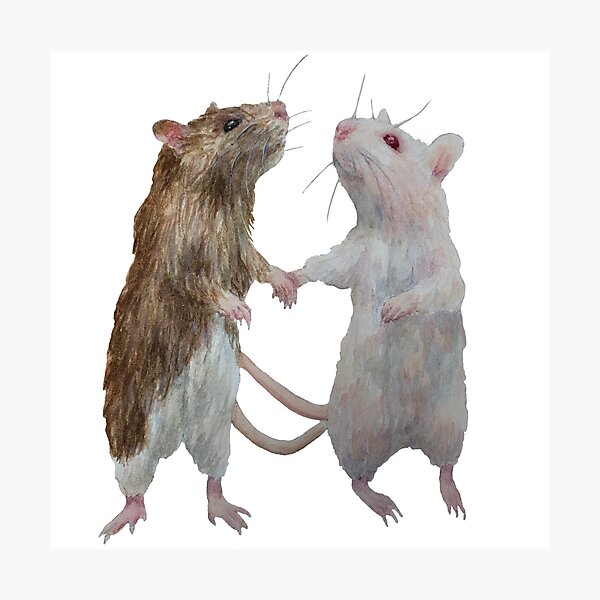 Aperçu de l'œuvre Rats se tenant la main créée et vendue par kaitlynyaru.art.