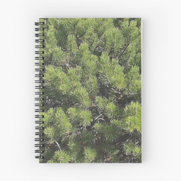 Item preview, Mountain pine designed and sold by martinkaspar123.