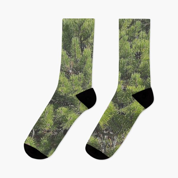 Item preview, Mountain pine designed and sold by martinkaspar123.