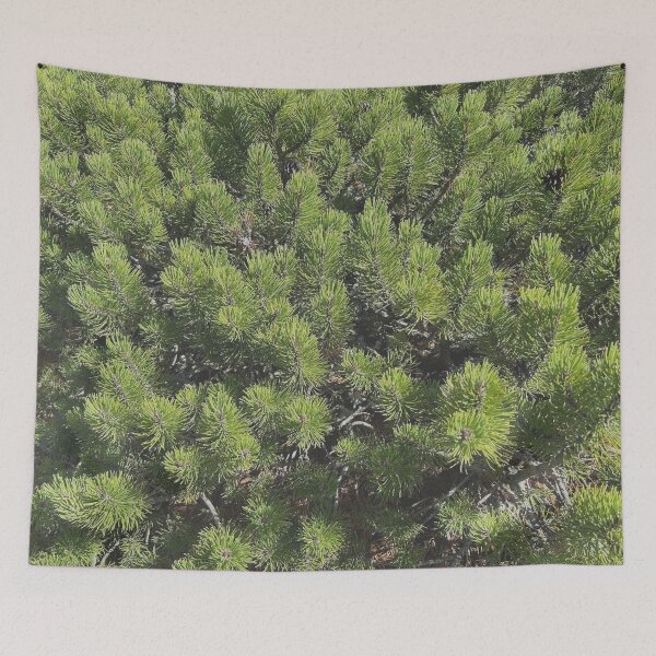Item preview, Mountain pine designed and sold by martinkaspar123.
