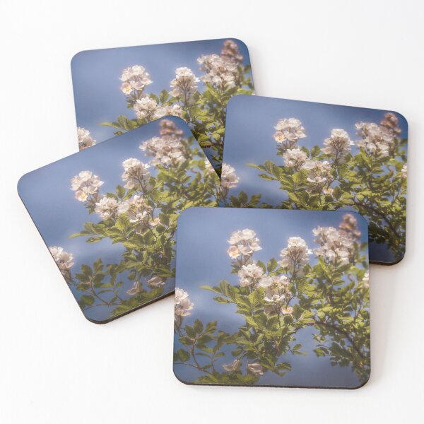 Item preview, Laden With Spring Beauty designed and sold by Jim Love.