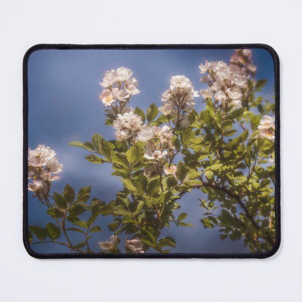 Item preview, Laden With Spring Beauty designed and sold by Jim Love.