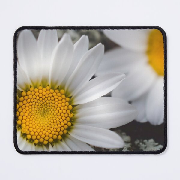 Item preview, Warm Soft And Cool designed and sold by Jim Love.