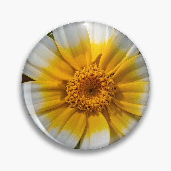 Item preview, Crown Daisy designed and sold by Tom McPherson Photography.