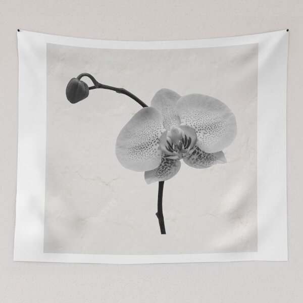 Item preview, A white orchid petal with a bud designed and sold by Postertale.