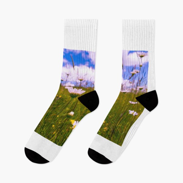 Item preview, Daisies Of The Field designed and sold by Jim Love.