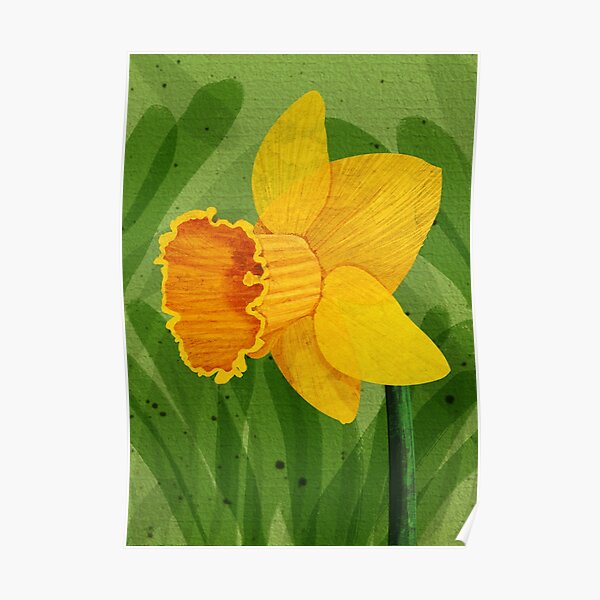 Daffodil Day Posters | Redbubble