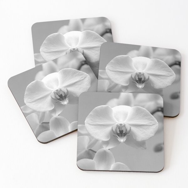 Item preview, White orchids designed and sold by Postertale.