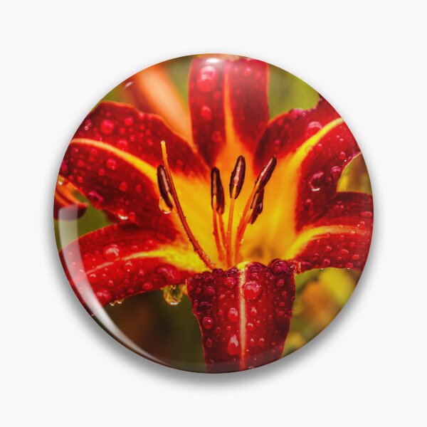 Item preview, Daylily With Raindrop Enhancement designed and sold by Jim Love.