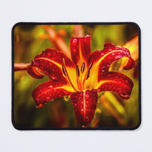 Item preview, Daylily With Raindrop Enhancement designed and sold by Jim Love.