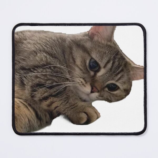 Item preview, Overthinking cat  designed and sold by Purrfectly  Furr.