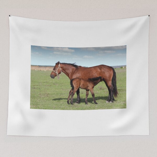 Item preview, foal feeding with milk on pasture designed and sold by goceris.