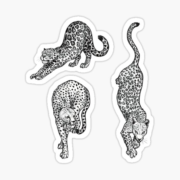 Vista previa del artículo con la obra «Leopardo, guepardo y jaguar 3», diseñado y vendido por ElinnilART.