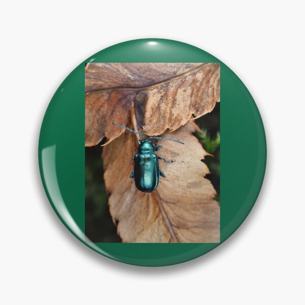 Item preview, Altica sp. beetle on dried leaves designed and sold by 2b1Wedding232.