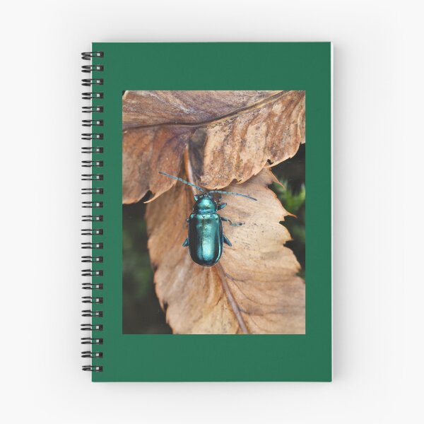 Item preview, Altica sp. beetle on dried leaves designed and sold by 2b1Wedding232.