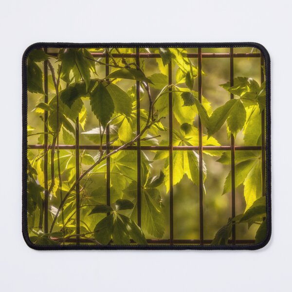 Item preview, Lost In A Spring Cage designed and sold by Jim Love.