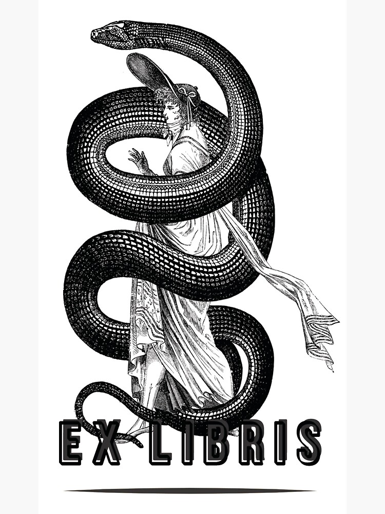 Thumbnail 3 of 3, Sticker, Wrapped Up designed and sold by WildRootsArt.