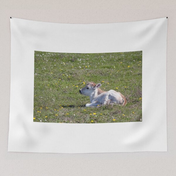 Item preview, cute little calf lying on pasture designed and sold by goceris.
